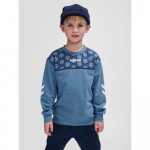 Hummel Ps Gensere Barn Blå | 073978-390